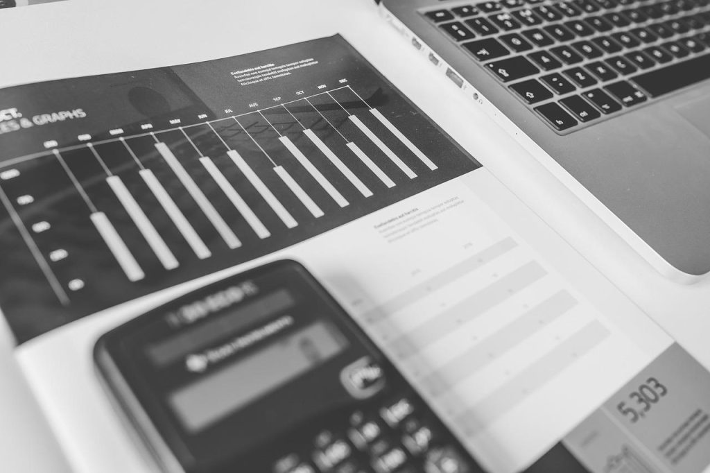 Professionele accountant in Maassluis biedt financieel advies en boekhouding voor bedrijven en freelancers